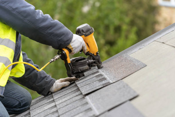 Best Roof Insulation Installation  in Peosta, IA