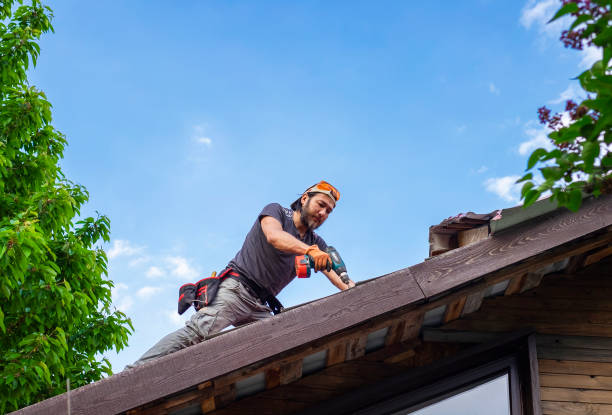Best Roof Ventilation Installation  in Peosta, IA
