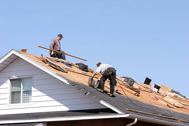 Best Roof Maintenance and Cleaning  in Peosta, IA