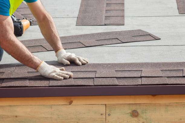Best Skylight Installation and Repair  in Peosta, IA