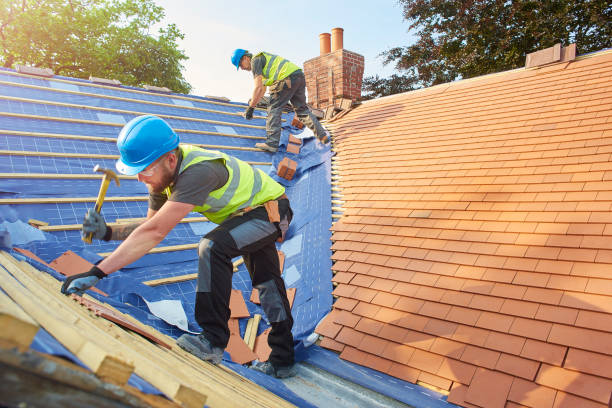 Best Chimney Flashing Repair  in Peosta, IA